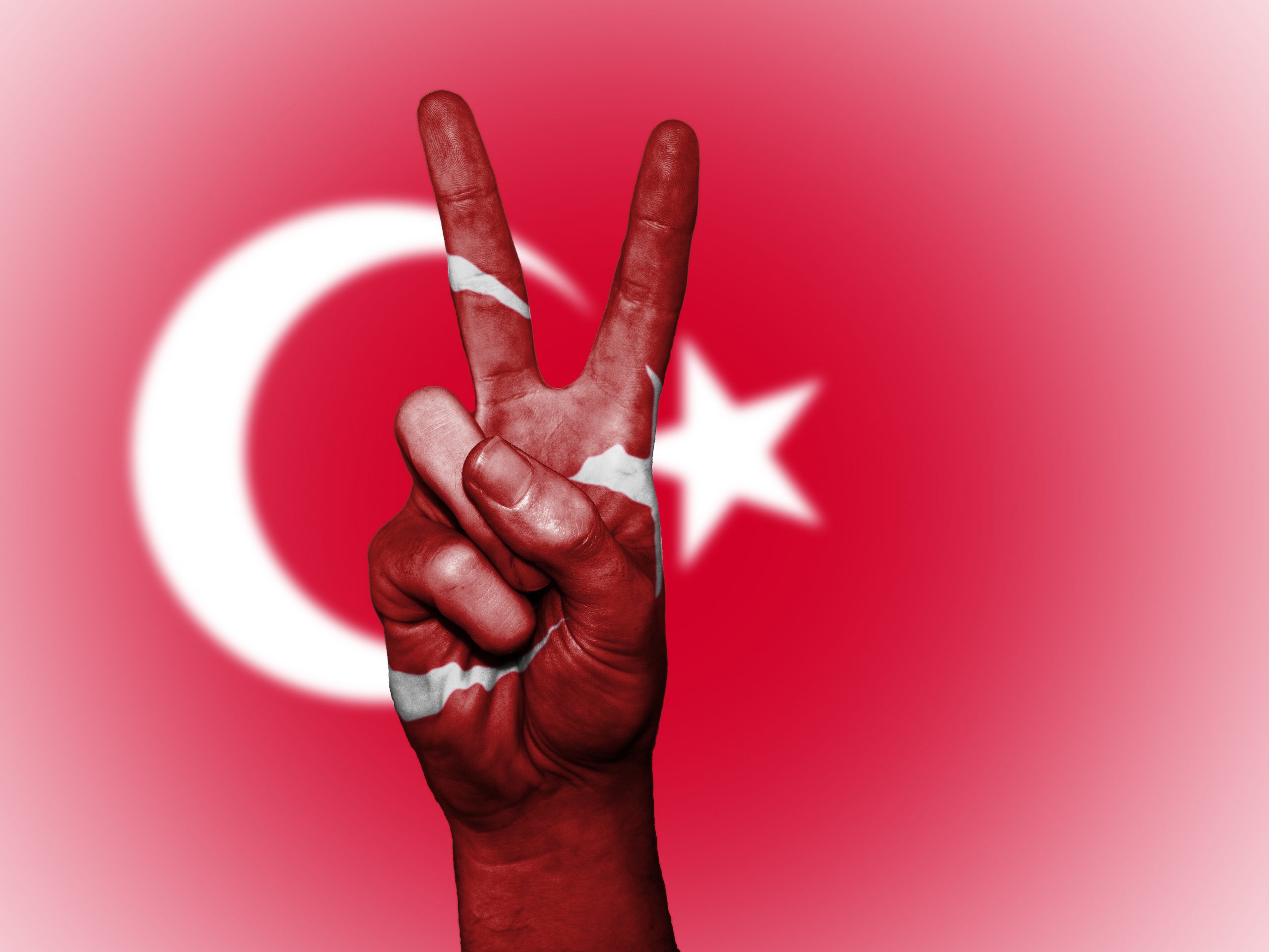 Erdogan-Wahl in Deutschland:                                                    Mehr als ein Problem der Deutschtürken